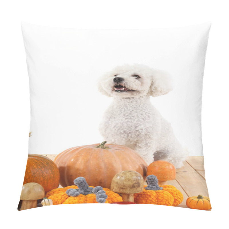 Personality  Cute Little Dog With Mushrooms And Pumpkins Sitting On Brown Wooden Table Against White Background. Thanksgiving Day Celebration Pillow Covers