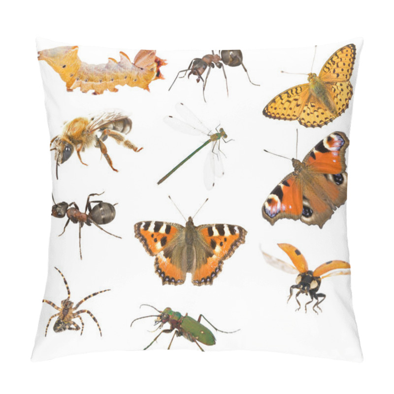 Personality  Insect Macro Collection Pillow Covers