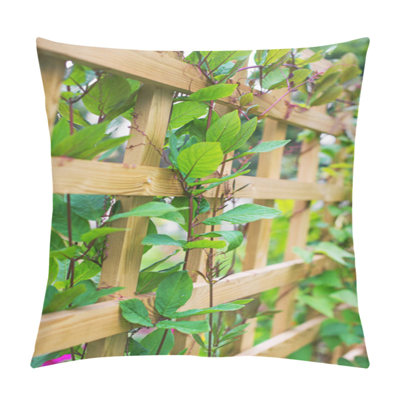 Personality  Loach Grass On The Wooden Fence. Pillow Covers