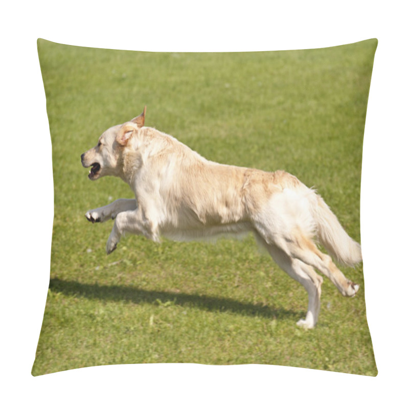 Personality  Dog Race Pillow Covers