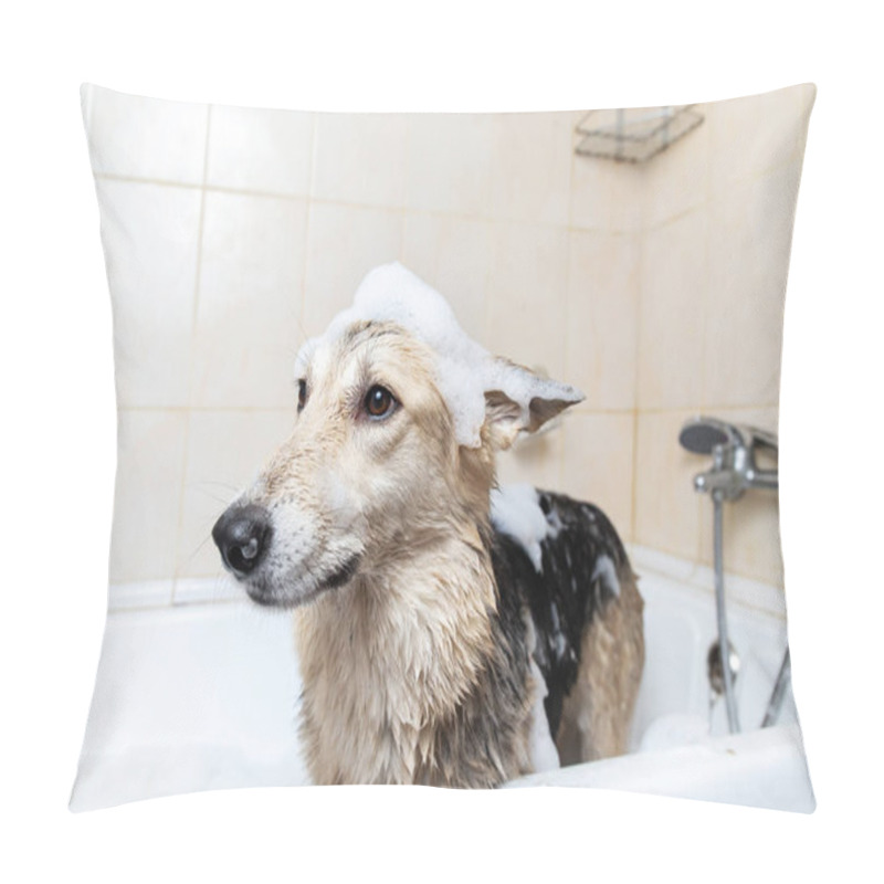 Personality  Side View Of A Mixed Breed Shepherd Dog Taking A Shower With Soap And Water Pillow Covers