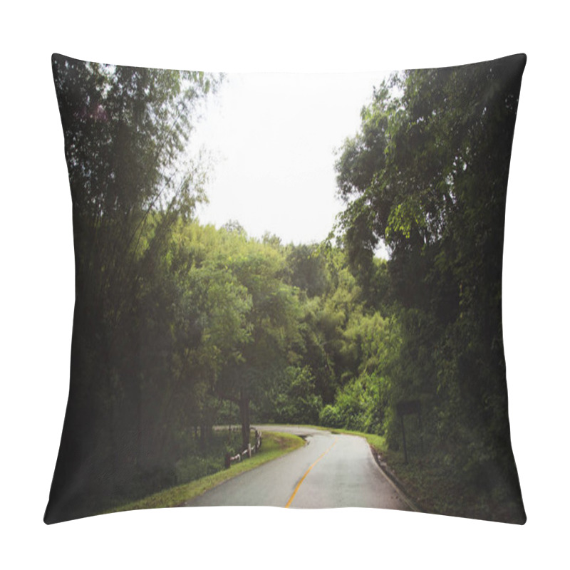 Personality  Road Way To The Jungle Rain Forest In Thailand Pillow Covers