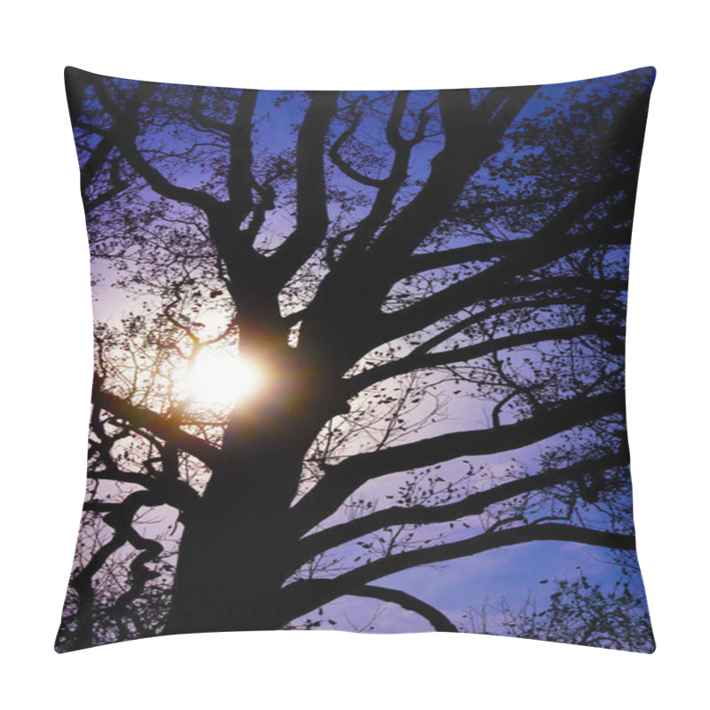 Personality  Landscape Background, Selective Focus Pillow Covers