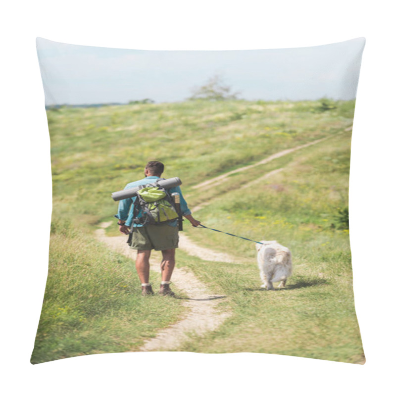 Personality  Back View Of Tourist Walking With Golden Retriever Dog On Path On Summer Meadow Pillow Covers