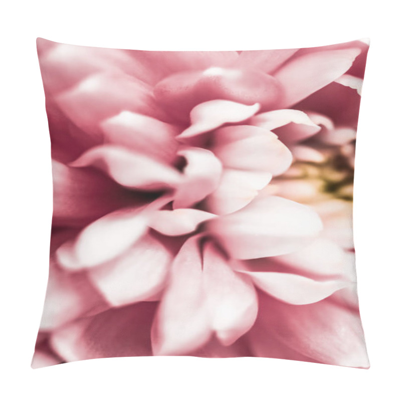 Personality  Pink Daisy Flower Petals In Bloom, Abstract Floral Blossom Art B Pillow Covers