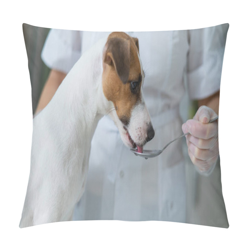 Personality  The Veterinarian Gives Liquid Medicine To The Dog From A Spoon. Pillow Covers