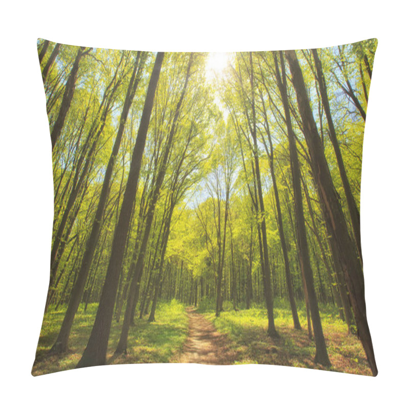 Personality  Morning Green Forest Pillow Covers