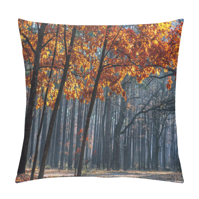 Personality  Magic Autumn Forest. Pillow Covers