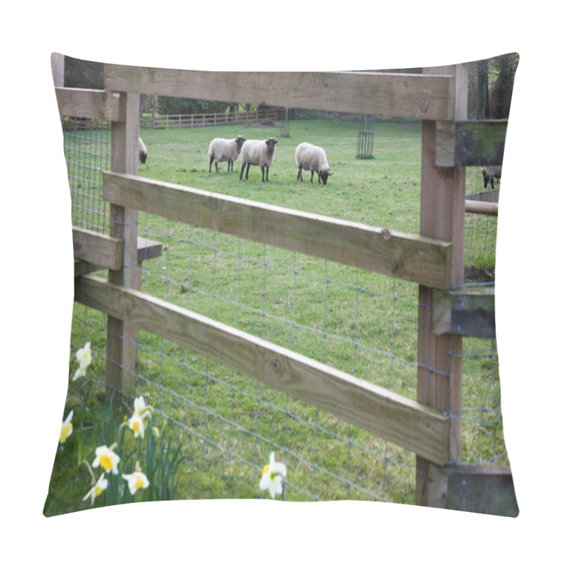 Personality  Sheep Grazing On The Beautiful Green Spring Meadow Pillow Covers