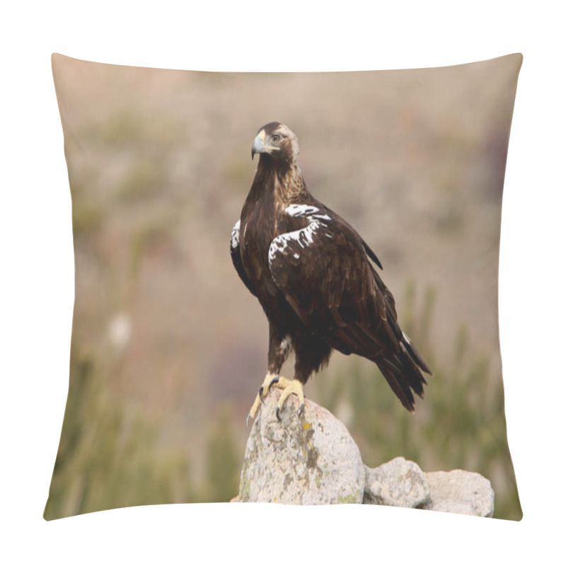 Personality  Adult Female Of Spanish Imperial Eagle, Aquila Adalberti Pillow Covers