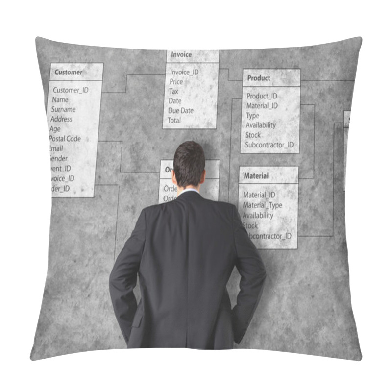 Personality  Database Background With Businessman Pillow Covers