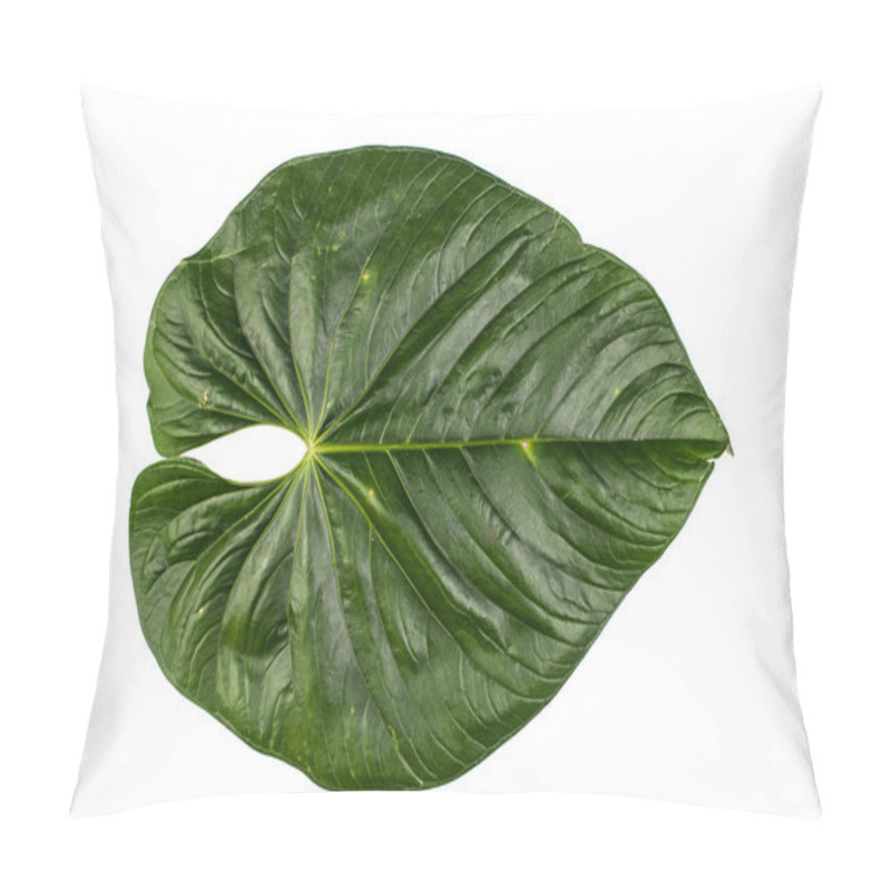 Personality  Jungle Leaf White Background Pillow Covers