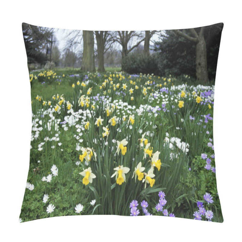 Personality  Spring In A Woodland Flower Garden With Daffodils Pillow Covers