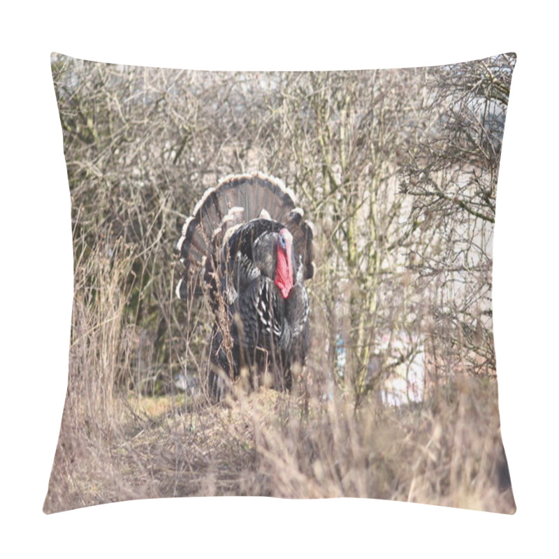 Personality  Wild Turkey Pillow Covers