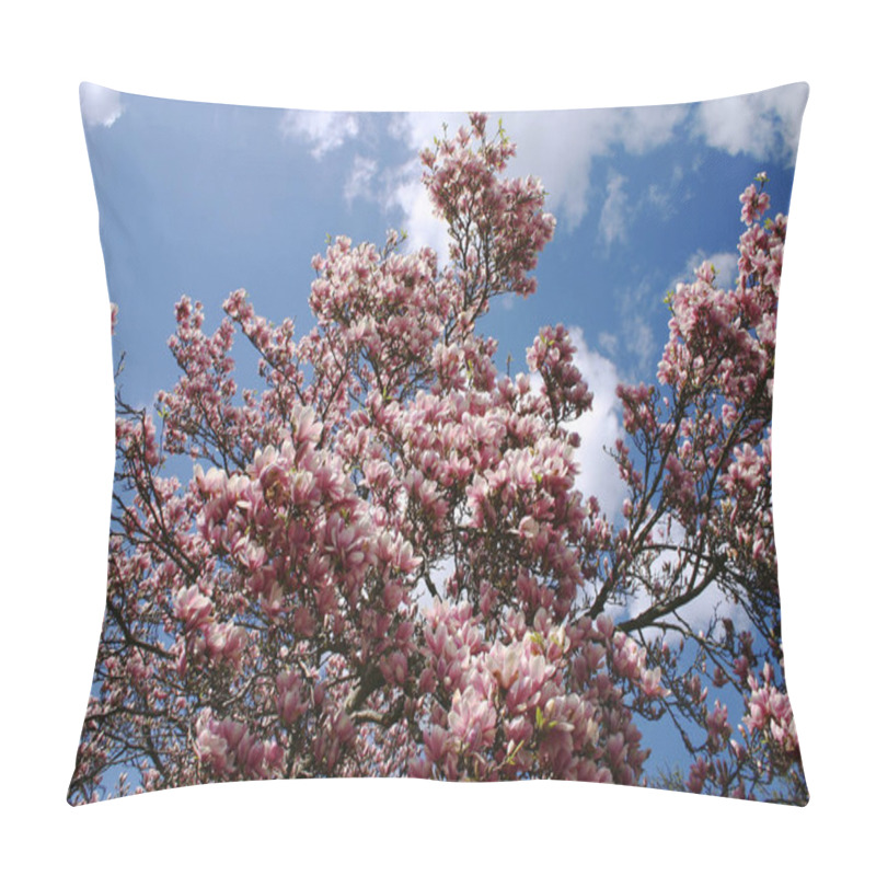 Personality  Spring Is Just Wonderful. Everywhere Is Green And Blooming There And So A View Of The Sky Maketh My Heart. Pillow Covers