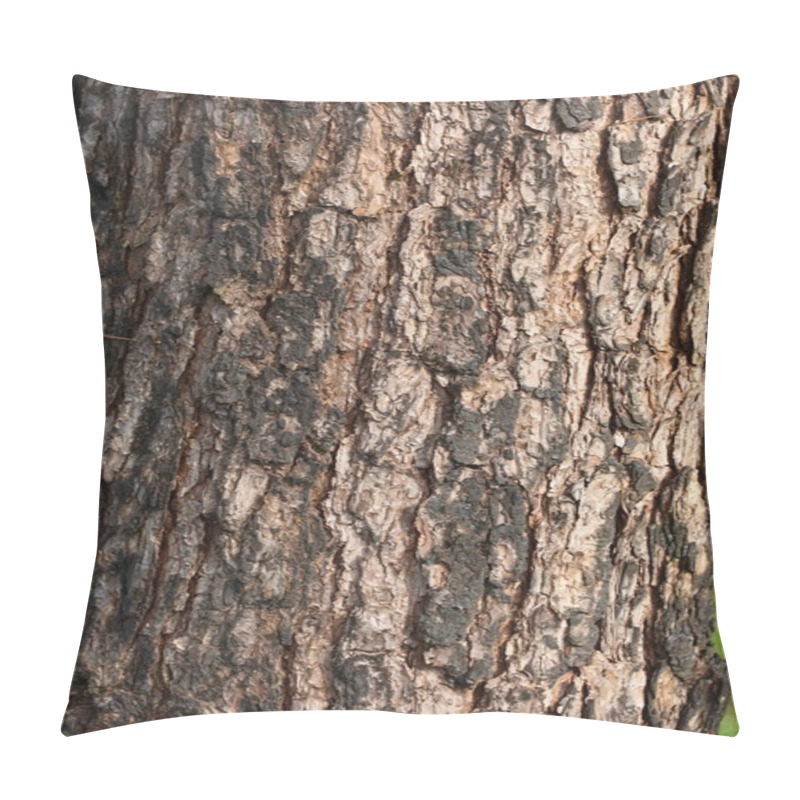 Personality  Background Of Bark Tree Pillow Covers