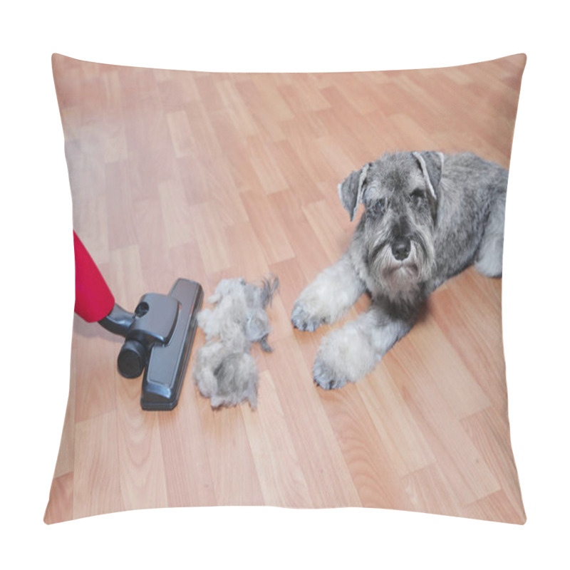 Personality  Vacuum Cleaner, Ball Of Wool Hair Of Pet Coat And Schnauzer Dog On The Floor.   Shedding Of Pet Hair, Cleaning Pillow Covers