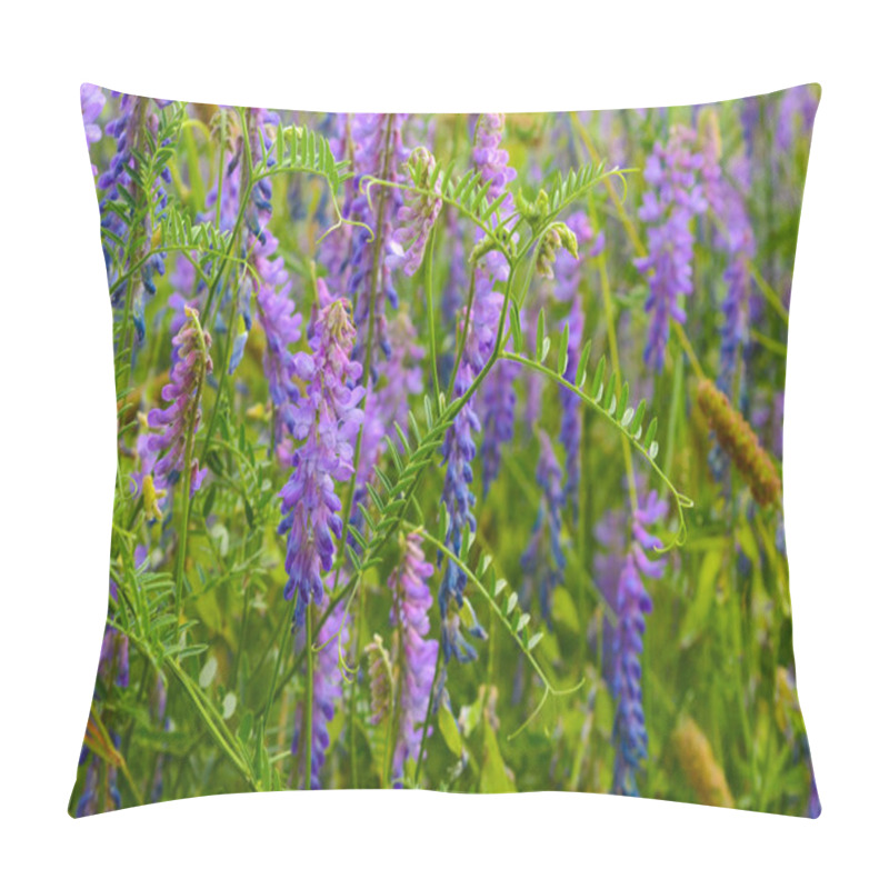 Personality  Wild Elegant Plants And Herbs Of The Forest Meadow. Grass Mouse Peas With Blue Purple Flowers. Pillow Covers