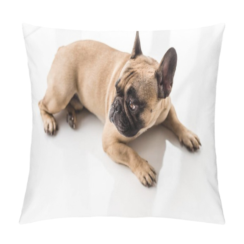 Personality  French Bulldog  Pillow Covers