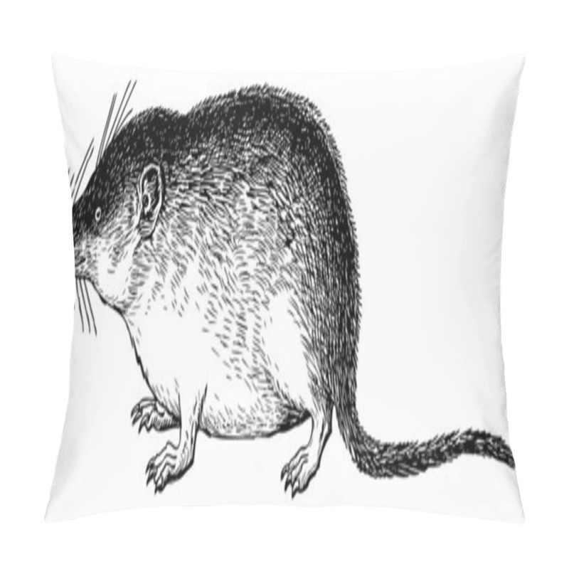 Personality  Muskrat Pillow Covers