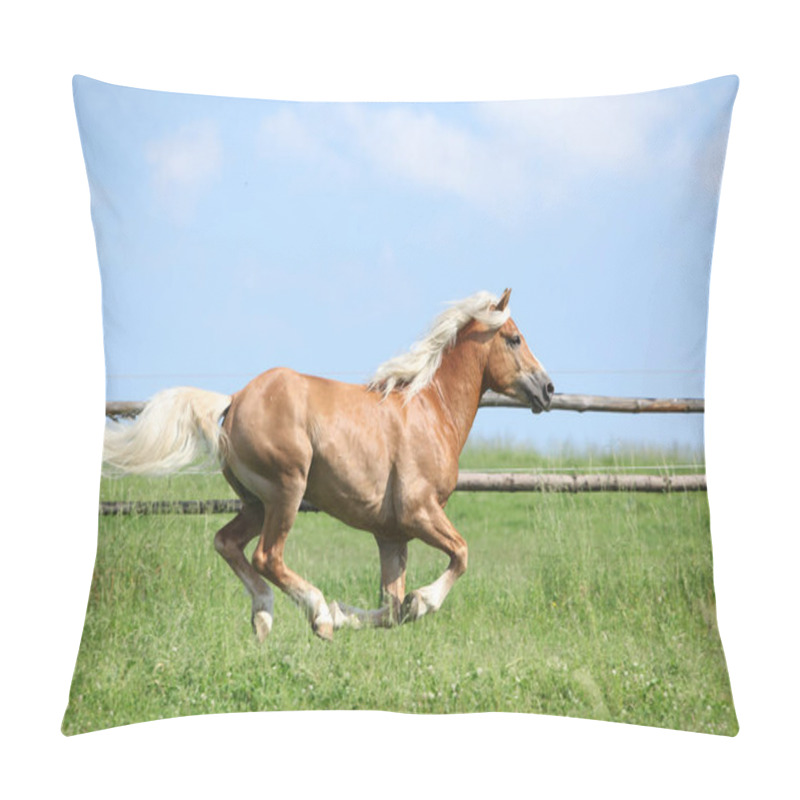 Personality  Amazing Haflinger Running On Pasturage Pillow Covers