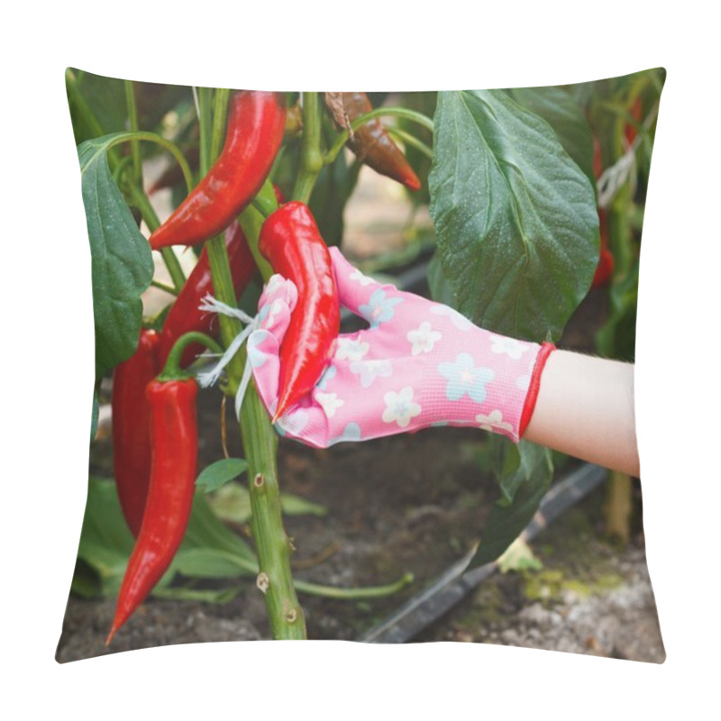 Personality  Red Pepper Harvest Pillow Covers