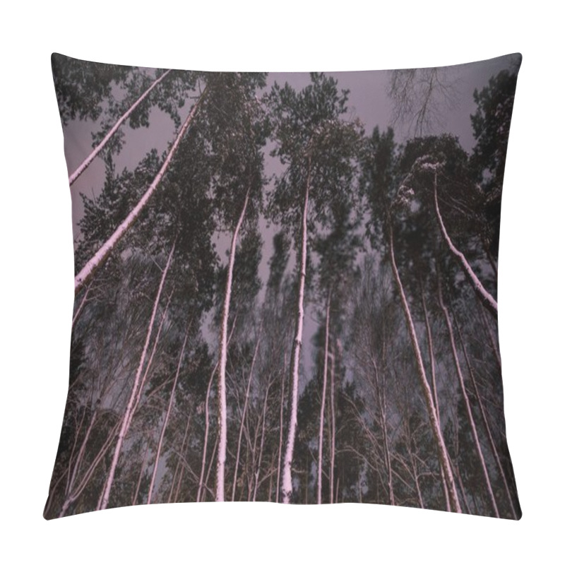 Personality  Bottom View Of Trees With Snow In Forest In Evening Pillow Covers