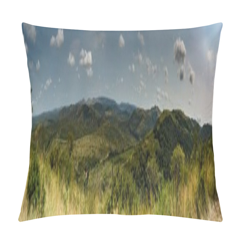 Personality  Panorama Landscape At The Hluhluwe Nationalpark Pillow Covers