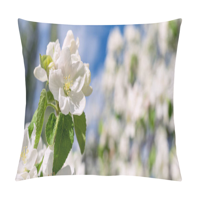 Personality  White Apple Blossom In The Garden Garden, Blurred Background. Pillow Covers