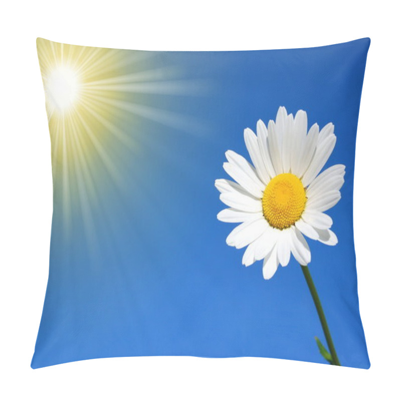 Personality  Daisy In Front Of The Blue Sky Pillow Covers