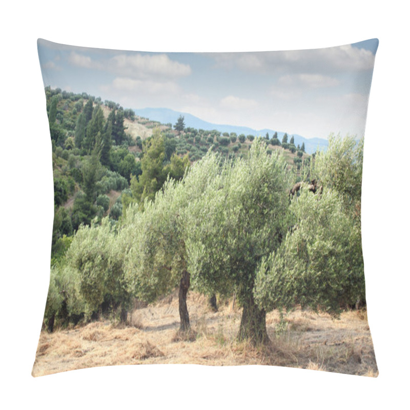 Personality  Olive Trees Hill Pillow Covers