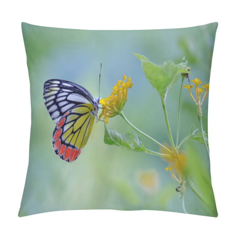 Personality   Portrait Of The Common Jezebel Butterfly Sitting On The Flower Plants Pillow Covers