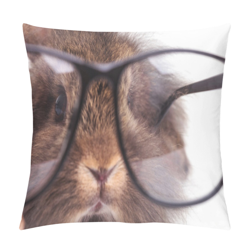 Personality  Lion Head Rabbit Bunny Wearing Glasses. Pillow Covers