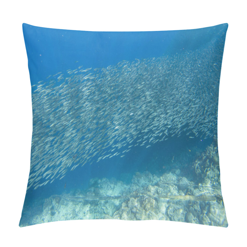 Personality  Small Sardine School In Open Sea Water. Massive Fish School Underwater Photo. Pelagic Fish School Swimming In Seawater. Saltwater Mackerel Shoal. Oceanic Wildlife. Sea Sardines In Ocean Pillow Covers