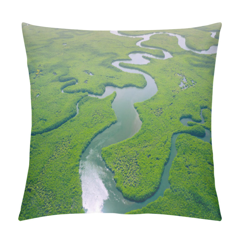 Personality  Aerial View Of Amazon Rainforest In Brazil, South America. Green Forest. Bird's-eye View.  Pillow Covers