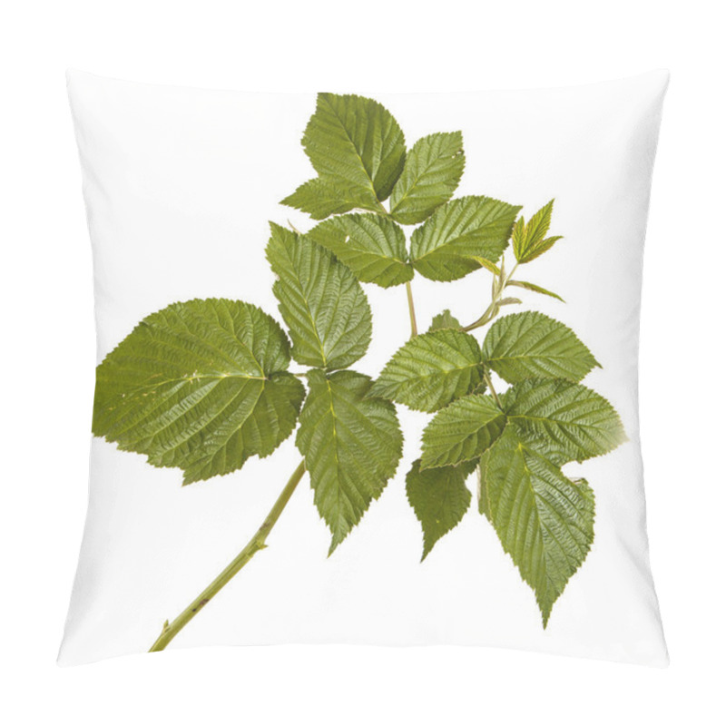 Personality  Green Raspberry Leaves. Isolated On White Background Pillow Covers