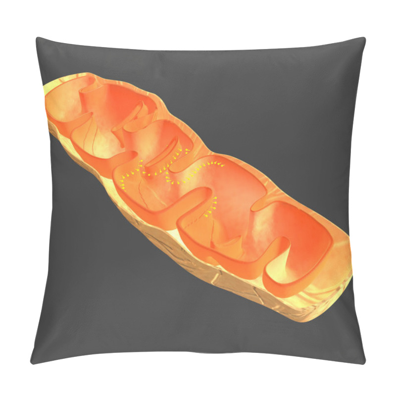 Personality  Mitochondrion Pillow Covers