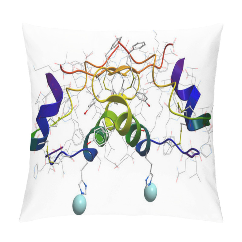 Personality  Insulin Molecular Structure Pillow Covers