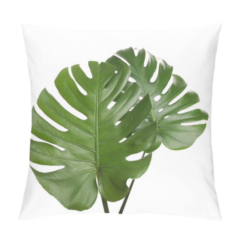 Personality  Fresh Green Tropical Leaves On White Background Pillow Covers