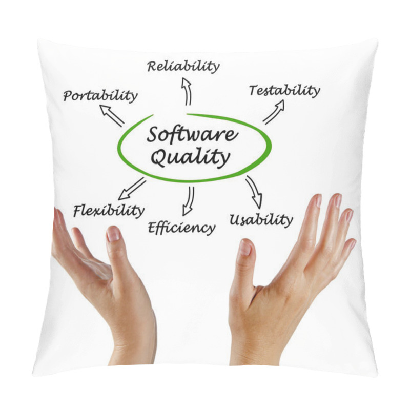 Personality  Diagram Of Software Quality Pillow Covers