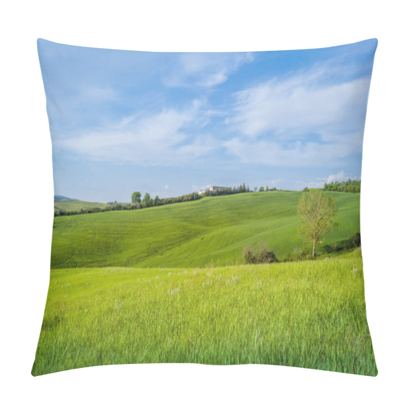 Personality  Rural Field View Of Toscano Province Pillow Covers