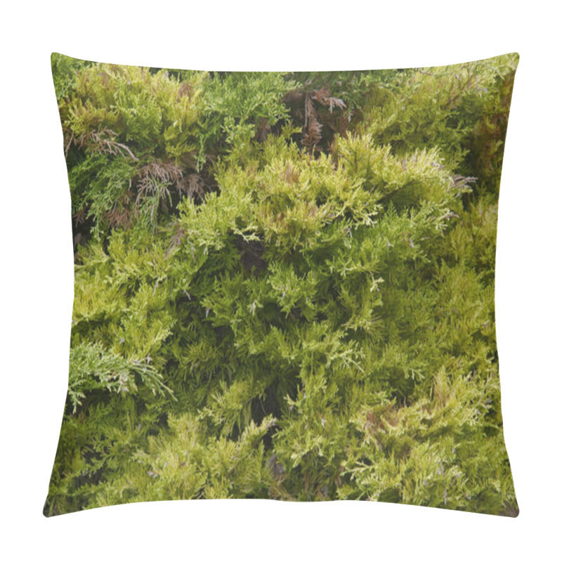 Personality  Thuja Back Pillow Covers