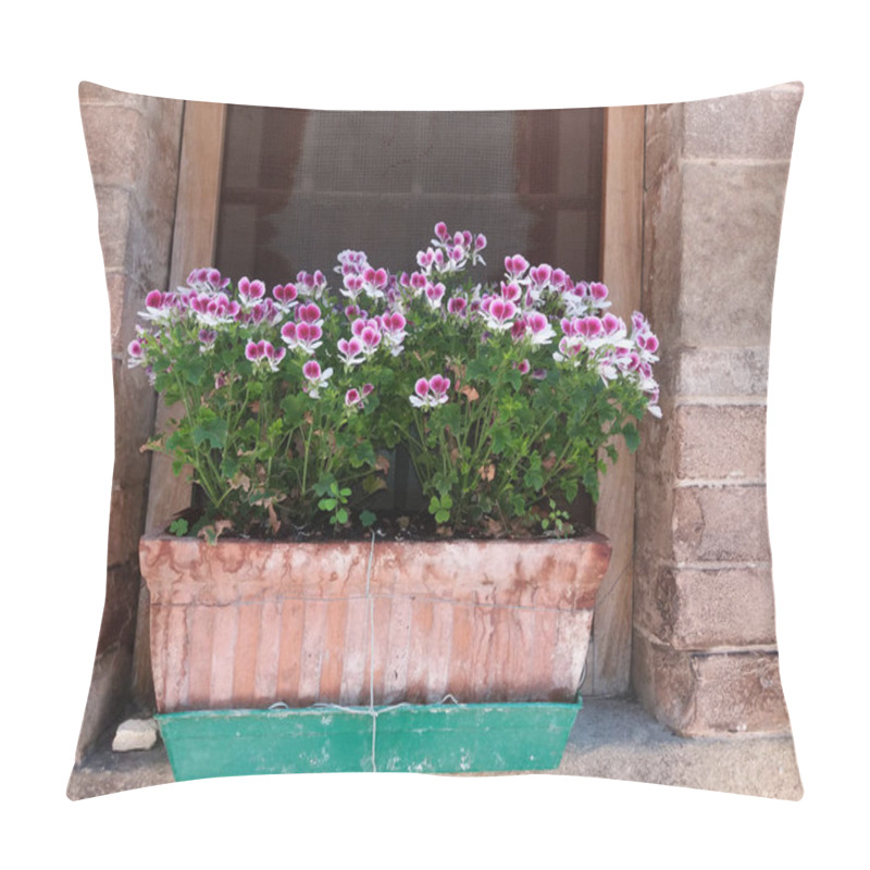 Personality  Flowers In An Italian Window Pillow Covers