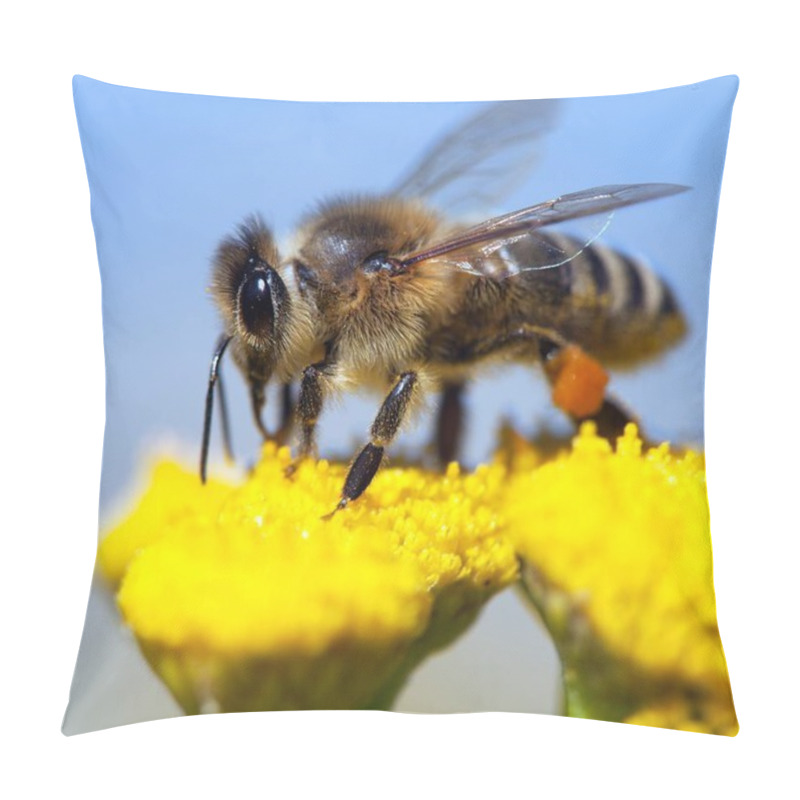 Personality  Bee Or Honeybee In Latin Apis Mellifera Pillow Covers