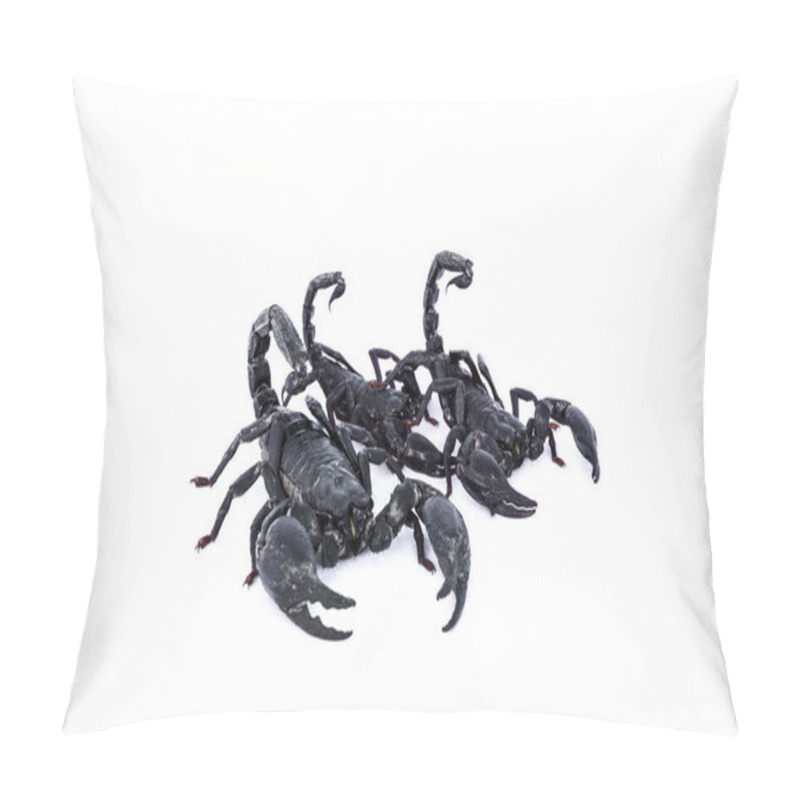 Personality  Black Scorpions Isolated On White Background  Pillow Covers