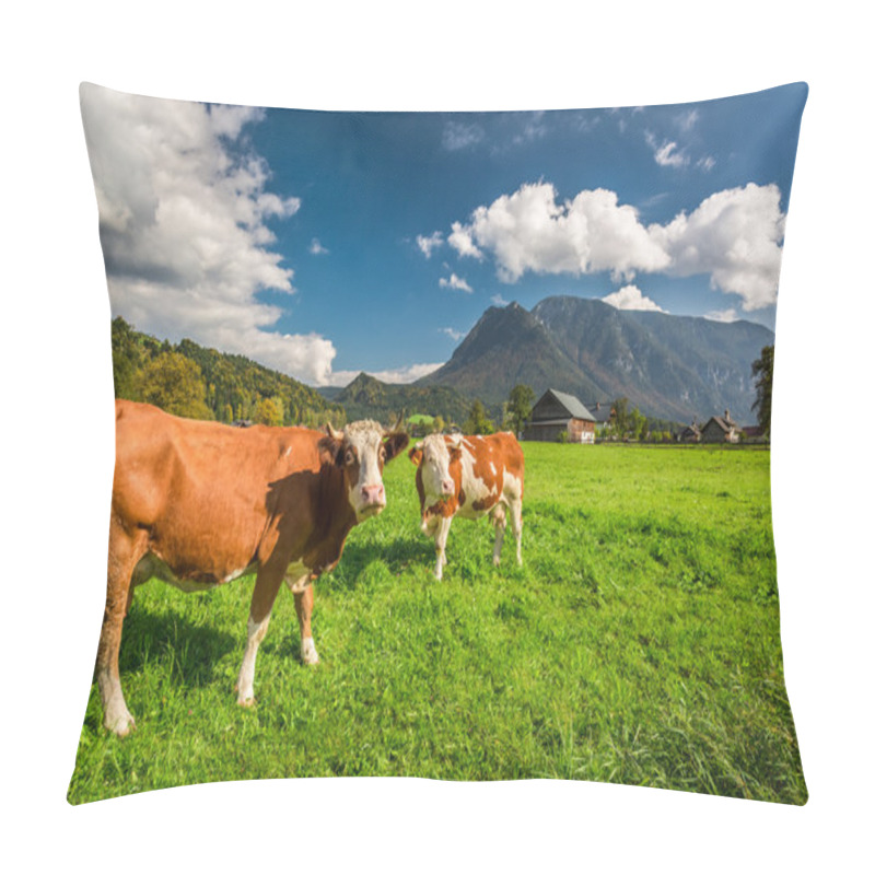 Personality  Cows On Pasture In The Alps Pillow Covers