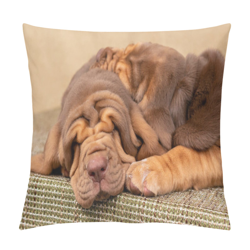 Personality  Two Little Brown Bloodhound Puppies Sleep Together Pillow Covers