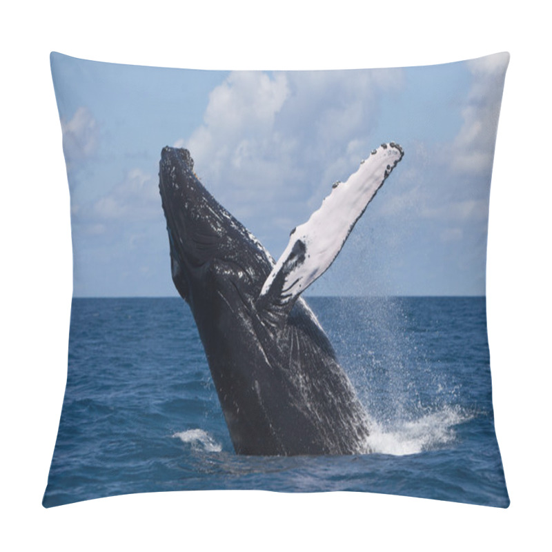 Personality  Humpback Whale Breaching Pillow Covers