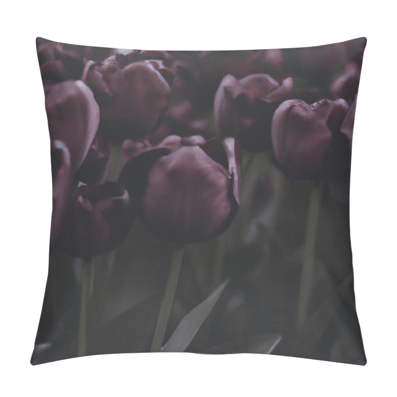 Personality  Black Tulips. Paul Scherer Tulip Buds. Selection And Tulip Mania. Botany, Floriculture, Horticulture And Landscape Design. A Symbol Of Memory Of Soldiers Who Died In Afghanistan And In Other Wars Pillow Covers