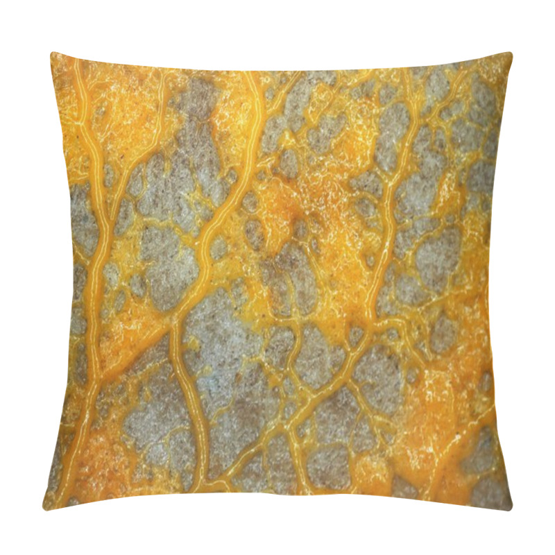 Personality  A Creeping Yellow Veiny Plasmodium Of A Slime Mold On A Substrate Pillow Covers